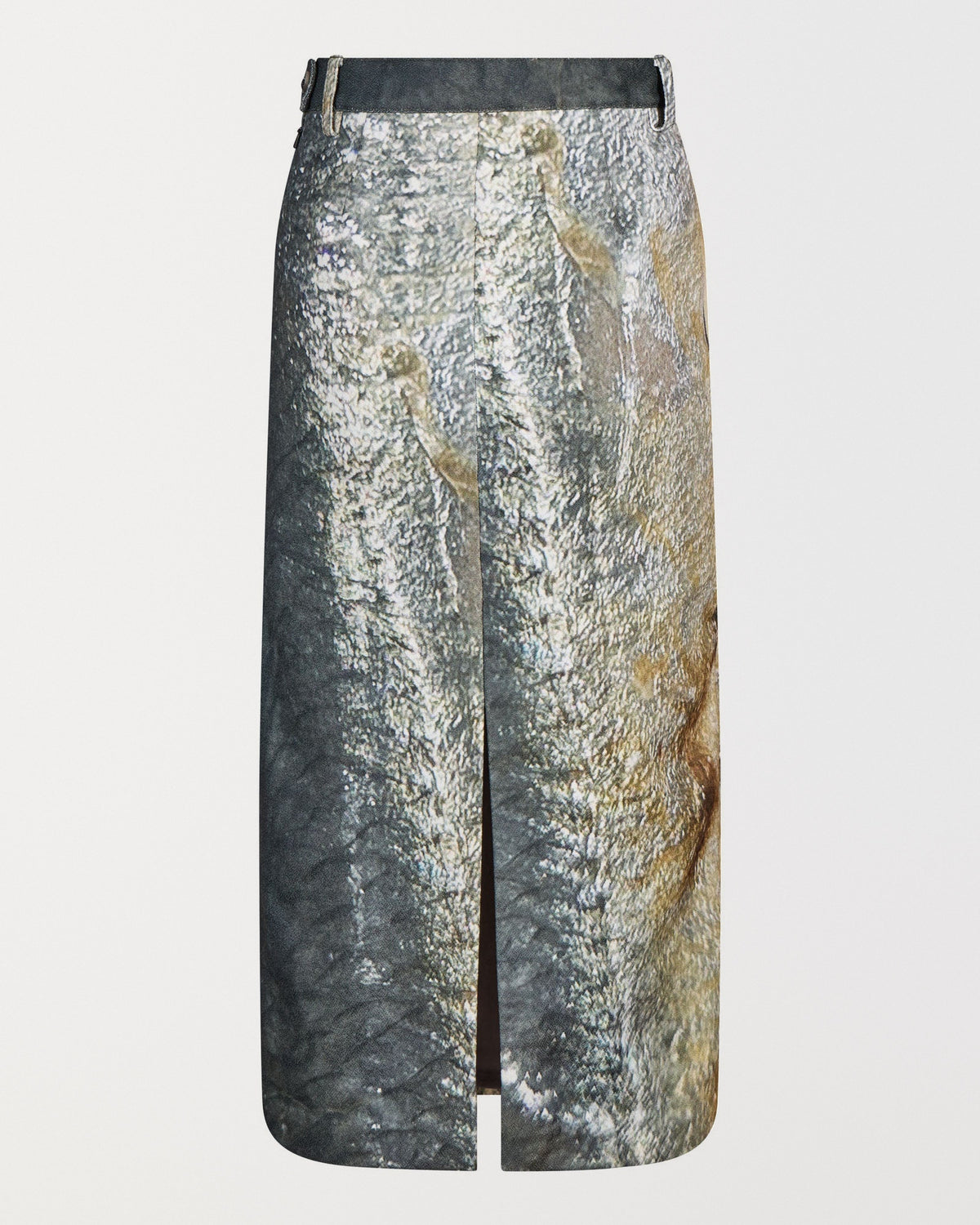 Sardine Skirt, back